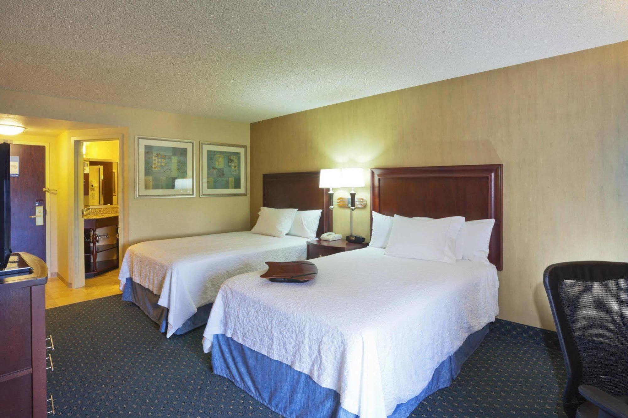 סי טק Hampton Inn Seattle Airport חדר תמונה